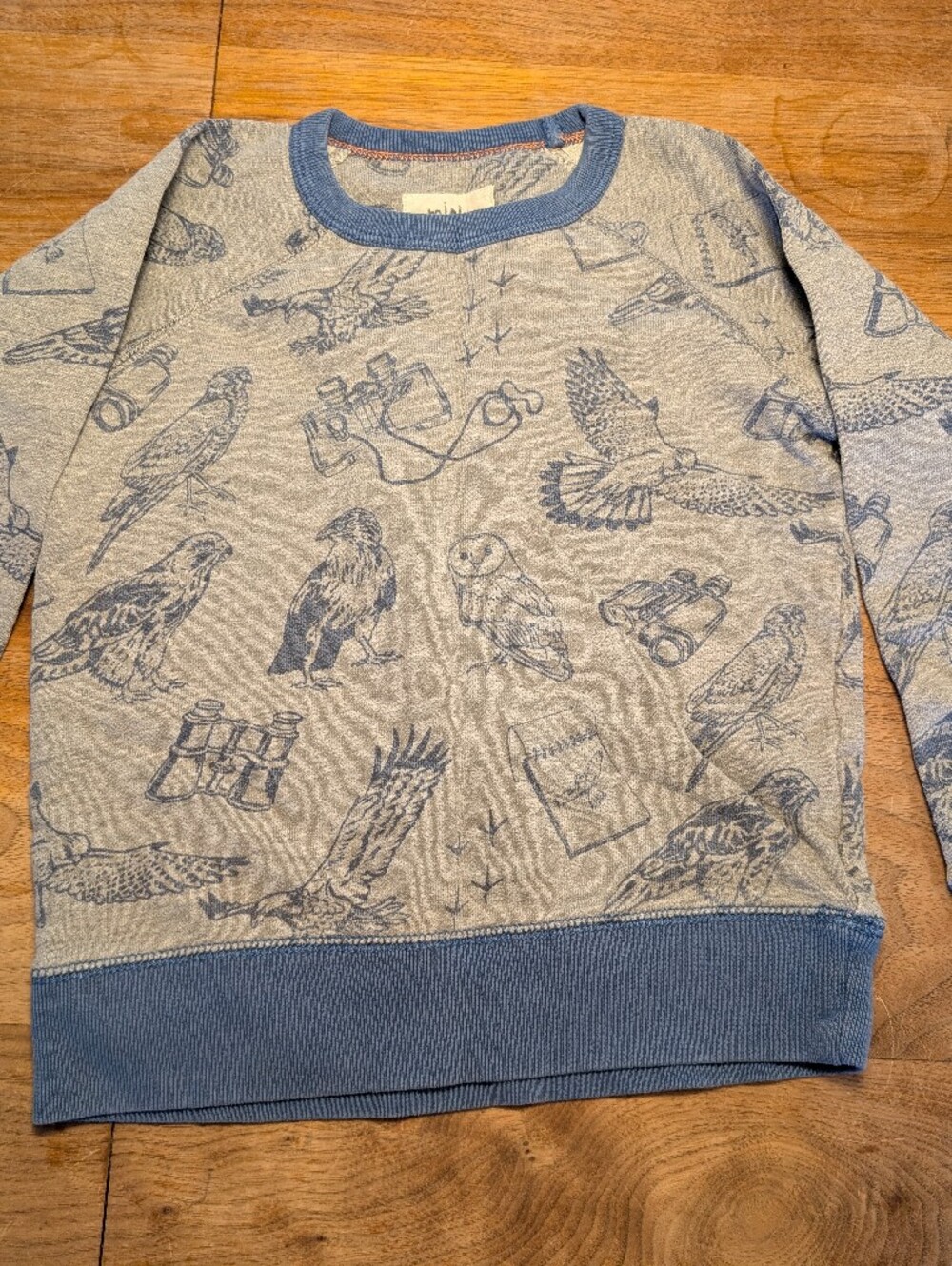 Mini Boden Sweatshirt with Harry Potter Print